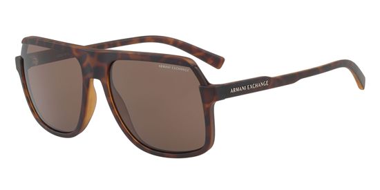 Picture of Armani Exchange AX4066S Sunglasses