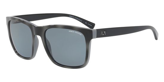 Picture of Armani Exchange AX4063SF Sunglasses