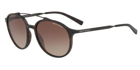 Picture of Armani Exchange AX4069SF Sunglasses