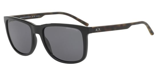 Picture of Armani Exchange AX4070SF Sunglasses