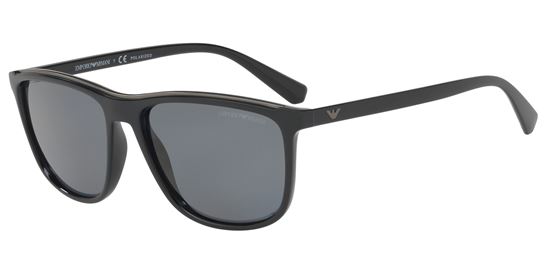 Picture of Emporio Armani EA4109F Sunglasses