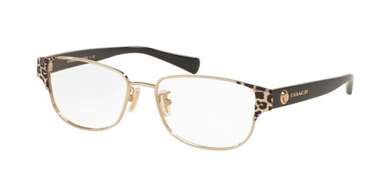 Picture of Coach HC5079 Eyeglasses