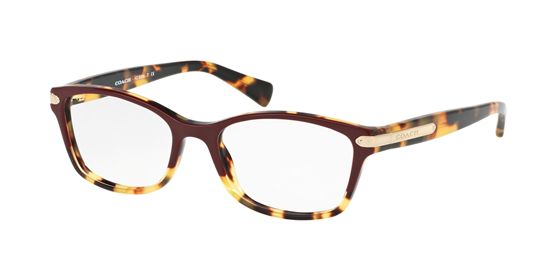 Picture of Coach HC6065F Eyeglasses