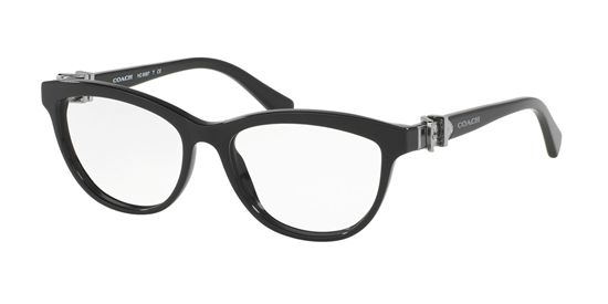 Picture of Coach HC6087 Eyeglasses