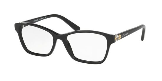 Picture of Coach HC6091B Eyeglasses