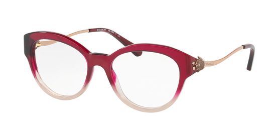Picture of Coach HC6093 Eyeglasses