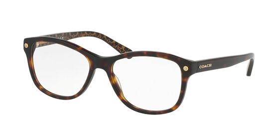 Picture of Coach HC6095F Eyeglasses