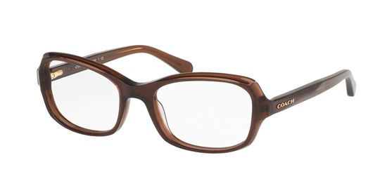 Picture of Coach HC6097 Eyeglasses