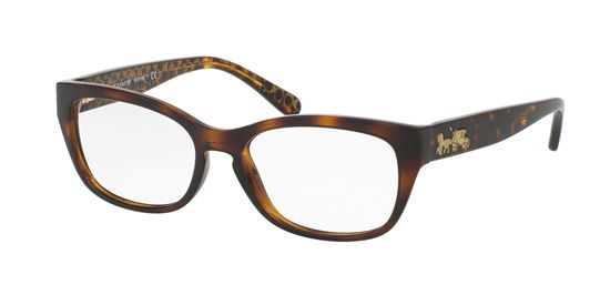 Picture of Coach HC6104F Eyeglasses