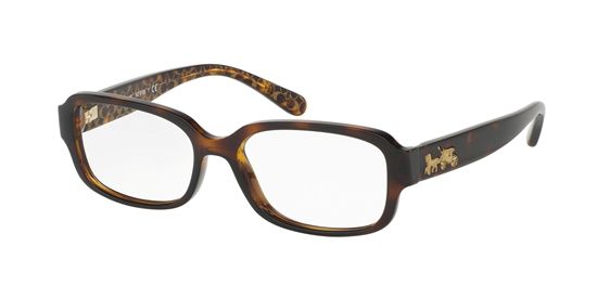 Picture of Coach HC6105 Eyeglasses