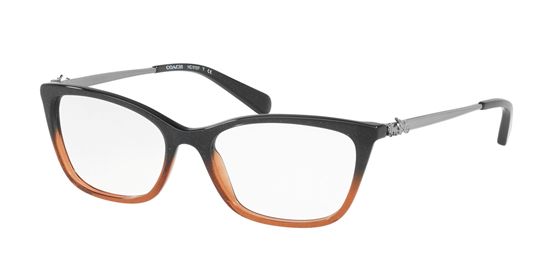 Picture of Coach HC6107 Eyeglasses