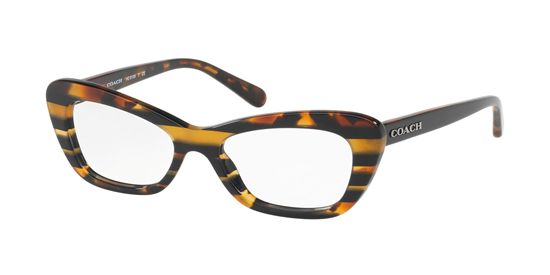 Picture of Coach HC6108 Eyeglasses