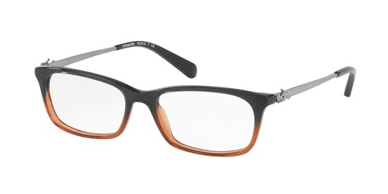 Picture of Coach HC6110F Eyeglasses