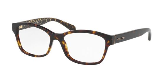 Picture of Coach HC6116F Eyeglasses