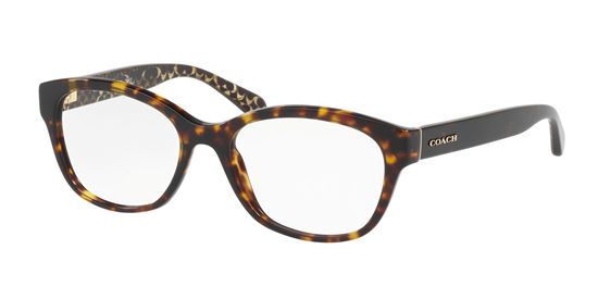 Picture of Coach HC6117 Eyeglasses