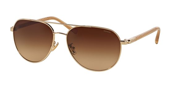 Picture of Coach HC7053 L137 Sunglasses