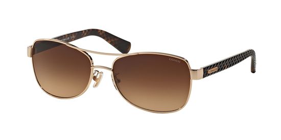 Picture of Coach HC7054 L129 Sunglasses