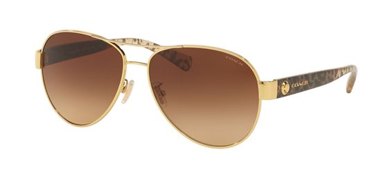 Picture of Coach HC7063 L148 Sunglasses