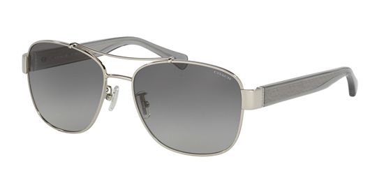 Picture of Coach HC7064 L151 Sunglasses