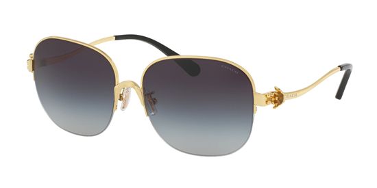 Picture of Coach HC7068 L1609 Sunglasses