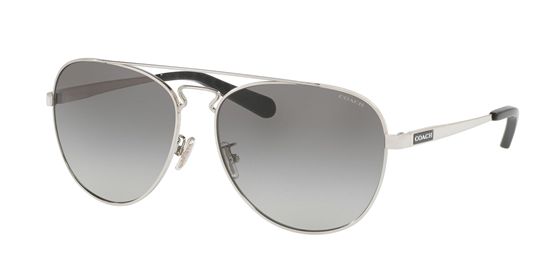 Picture of Coach HC7069 L1614 Sunglasses