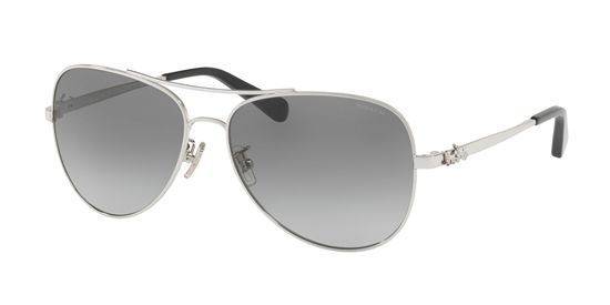 Picture of Coach HC7074 L1648 Sunglasses