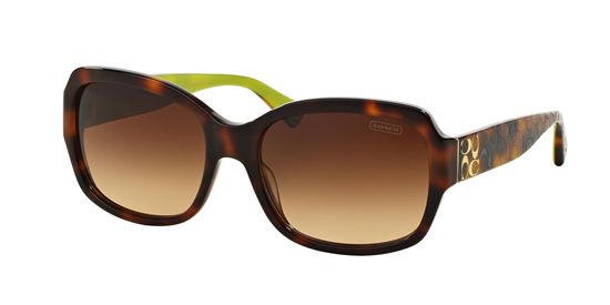 Picture of Coach HC8001 L001 EMMA Sunglasses