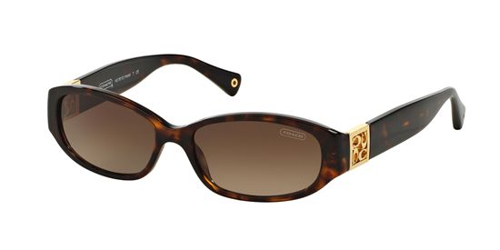 Picture of Coach HC8012 HOPE Sunglasses