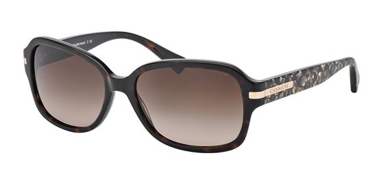 Picture of Coach HC8105 L082 AMBER Sunglasses