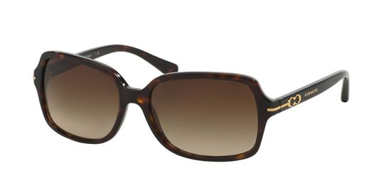 Picture of Coach HC8116 L087 BLAIR Sunglasses