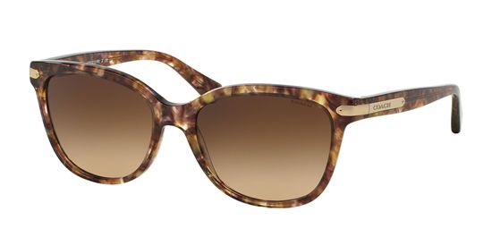 Picture of Coach HC8132 L109 Sunglasses