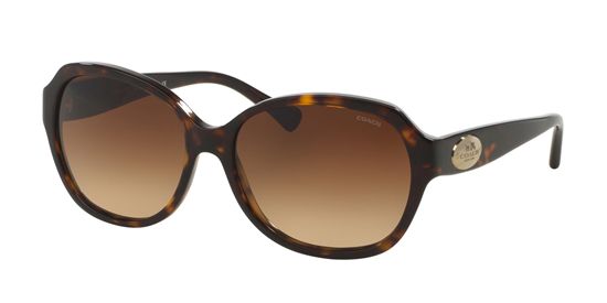 Picture of Coach HC8150 L133 Sunglasses