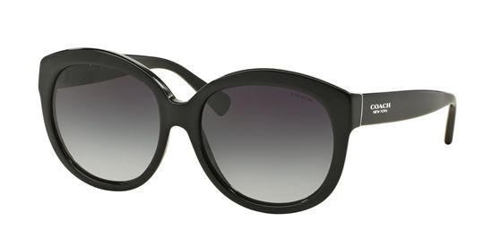 Picture of Coach HC8159F L561 Sunglasses