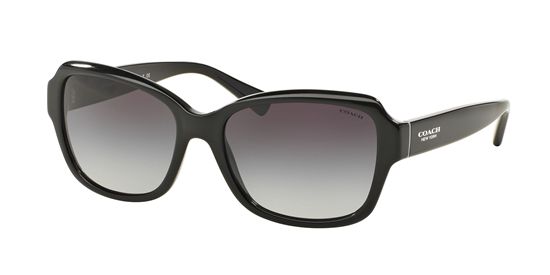 Picture of Coach HC8160 L145 Sunglasses