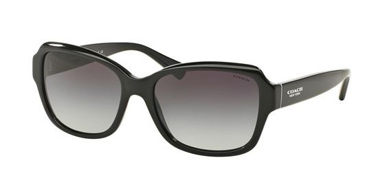 Picture of Coach HC8160F L562 Sunglasses