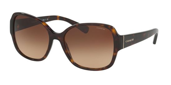 Picture of Coach HC8166 L154 Sunglasses