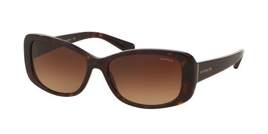 Picture of Coach HC8168 L156 Sunglasses