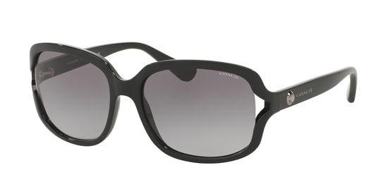 Picture of Coach HC8169 L149 Sunglasses