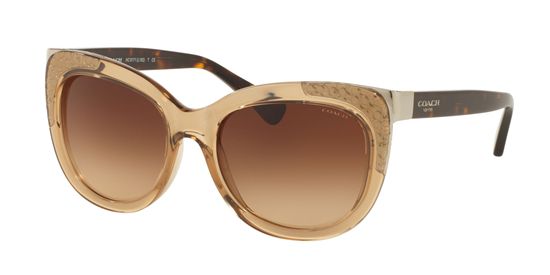 Picture of Coach HC8171 L152 Sunglasses