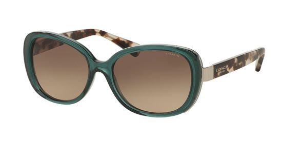Picture of Coach HC8172 L153 Sunglasses