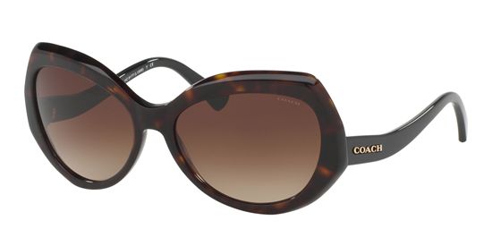 Picture of Coach HC8177 L1588 Sunglasses