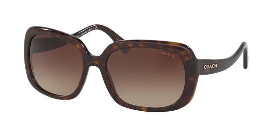 Picture of Coach HC8178 L1591 Sunglasses
