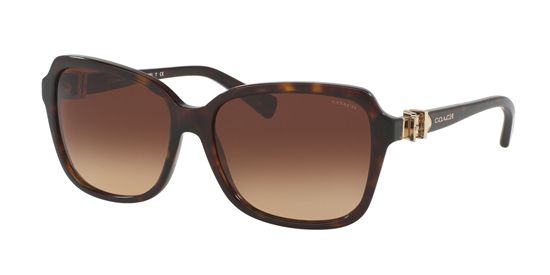 Picture of Coach HC8179 L1598 Sunglasses