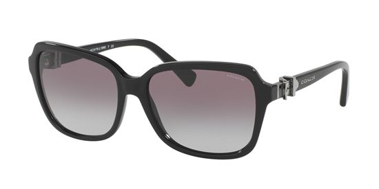 Picture of Coach HC8179F L1599 Sunglasses