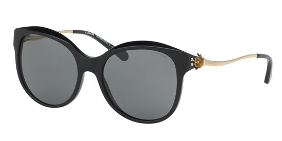 Picture of Coach HC8189 L1610 Sunglasses