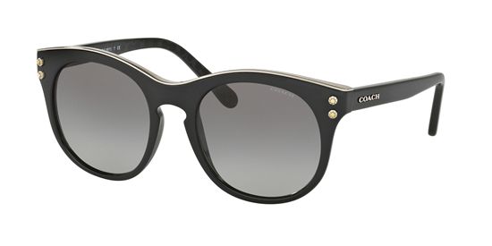 Picture of Coach HC8190 L1611 Sunglasses