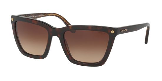 Picture of Coach HC8191F Sunglasses