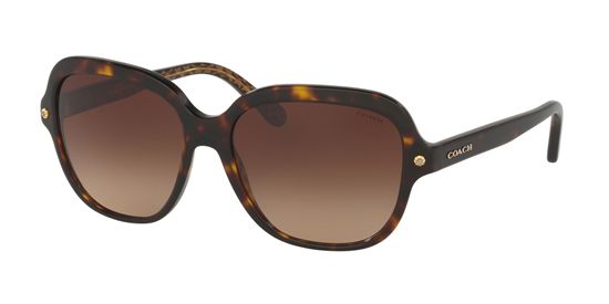 Picture of Coach HC8192 L1613 Sunglasses