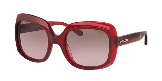 Picture of Coach HC8194F Sunglasses