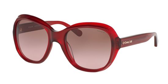 Picture of Coach HC8197 L1617 Sunglasses